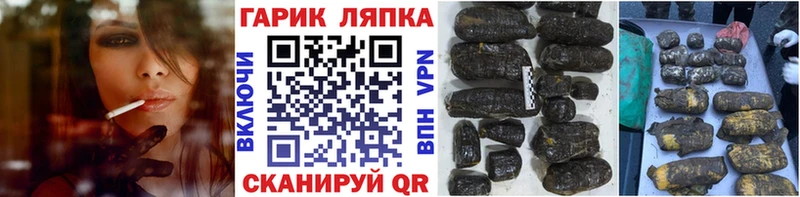 ГАШ Premium  Грязовец 